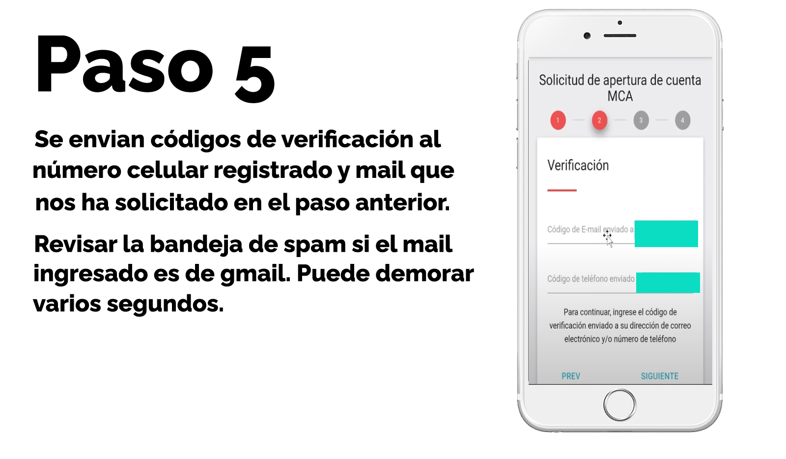 paso 5 apertura